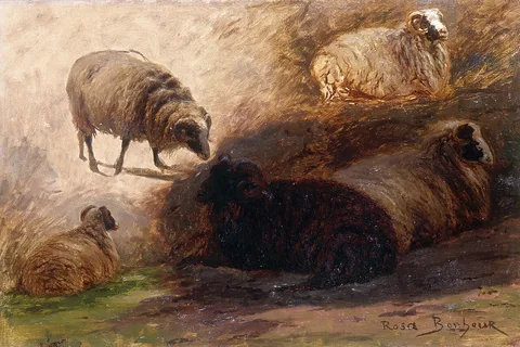 Rosa Bonheur, Sketch of sheeps