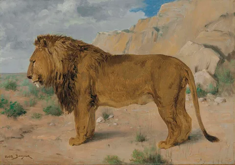 Rosa Bonheur, Study of a Lion