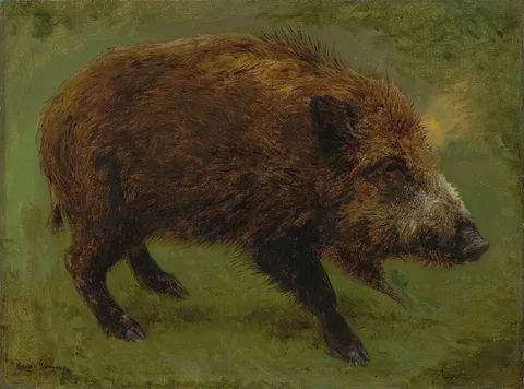 Rosa Bonheur, Wild boar