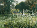 Hugo Charlemont, Untitled