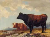 Alfred Grey, Brindled Cattle