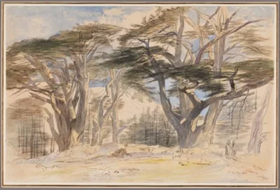 Edward Lear, The Cedars of Lebanon