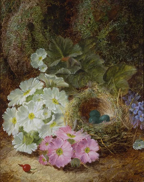 Oliver Clare, Flowers, a Berry and a Bird's Nest