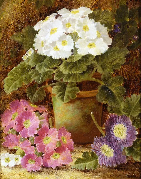 Oliver Clare, Potted Flowers