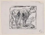 Charles Jacque, A Cow