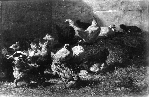 Charles Jacque, Chickens
