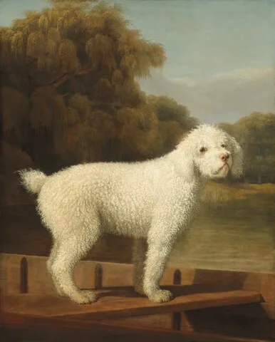 George Stubbs, White Poodle in a Punt