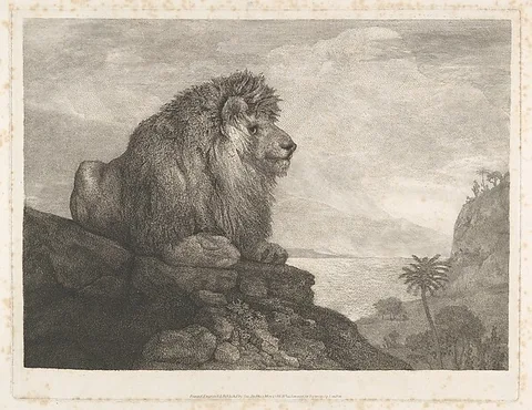George Stubbs, A Lion (A Lion Resting on a Rock)