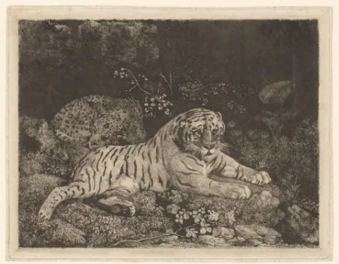 George Stubbs, Liggende tijger en slapend jachtluipaard