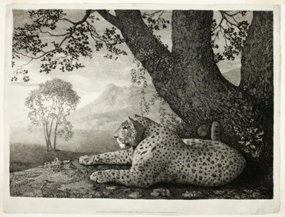 George Stubbs, A Tyger (A Recumbent Leopard by a Tree)
