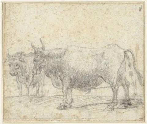 Claude Lorrain, Studies van vee