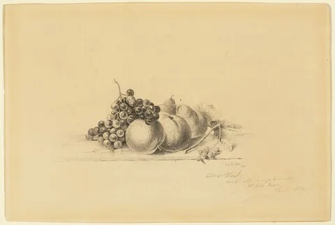 James McDougal Hart, Still Life with Fruit