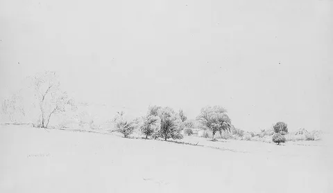 James McDougal Hart, Aurora