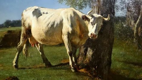Constant Troyon, Cow rubbing
