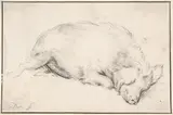 Adriaen van de Velde, A Sleeping Swine