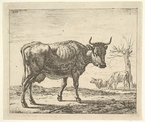 Adriaen van de Velde, Three Cows, plate 5 from "Different Animals"