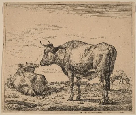 Adriaen van de Velde, Standing Bull