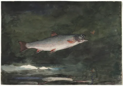 Winslow Homer, Leaping Trout