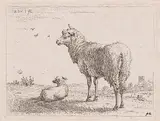 Karel Dujardin, Ewe and Lamb