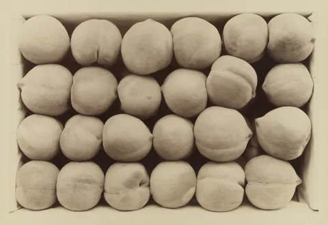 Carleton Watkins, Late George Cling Peaches