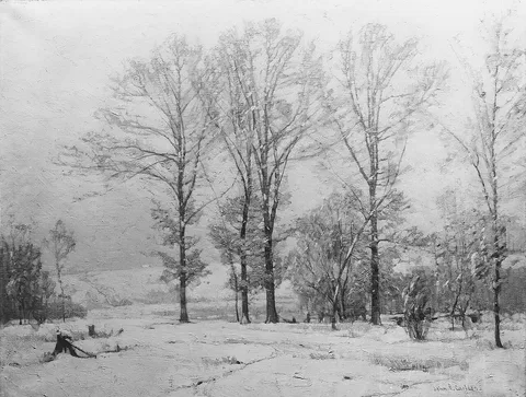 John F. Carlson, Snow Flurries