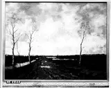 Arnold Marc Gorter, Untitled