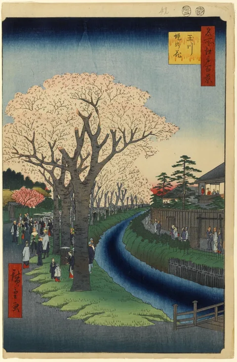 Utagawa Hiroshige, Cherry Blossoms on the Banks of the Tama River