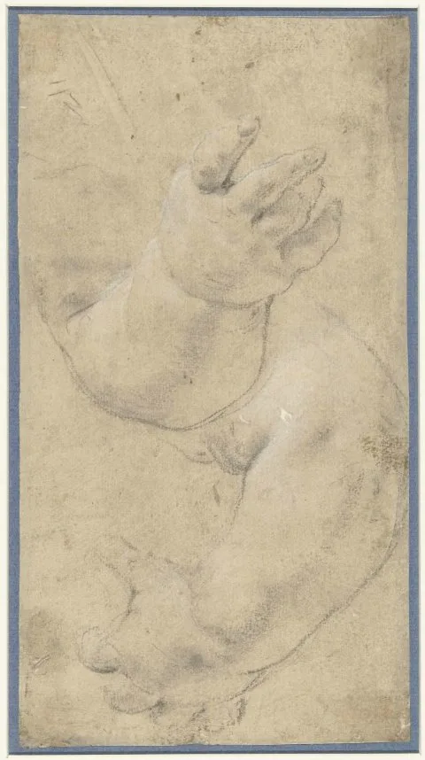 Domenichino, Studie van twee kinderarmpjes