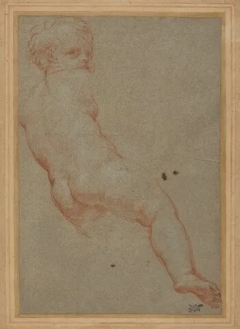 Carlo Maratti, Study of a Young Boy