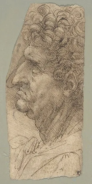 Leonardo da Vinci, Head of a Man in Profile Facing to the Left