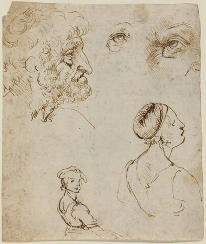 Leonardo da Vinci, Sheet of Studies [recto]