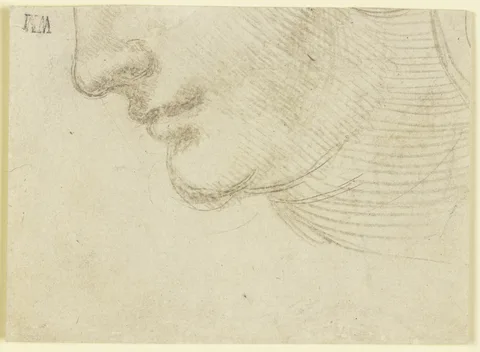Leonardo da Vinci, Study of the Head of a Woman