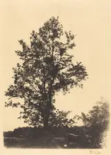 Wilhelm Leibl, The Large Tree