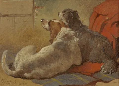 John Frederick Herring, Sr., A Hound and a Bearded Collie seated on a Hunting Coat