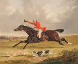 John Frederick Herring, Sr., Foxhunting: Encouraging Hound