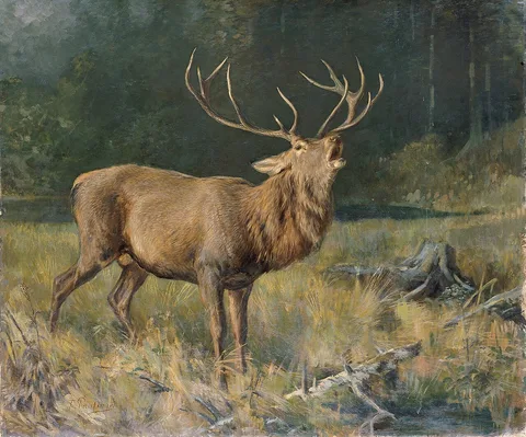 Franz Xaver von Pausinger, Rutting stag
