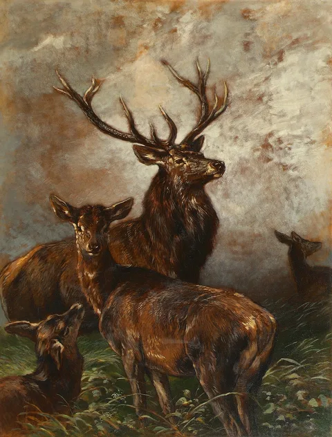 Franz Xaver von Pausinger, Untitled