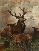 Franz Xaver von Pausinger, Untitled