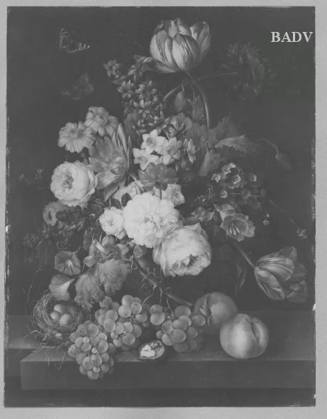 Franz Xaver Petter, Still - life with flowers + fruits