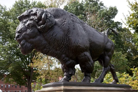 Alexander Phimister Proctor, Buffalo