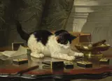 Henriëtte Ronner-Knip, The cat at play