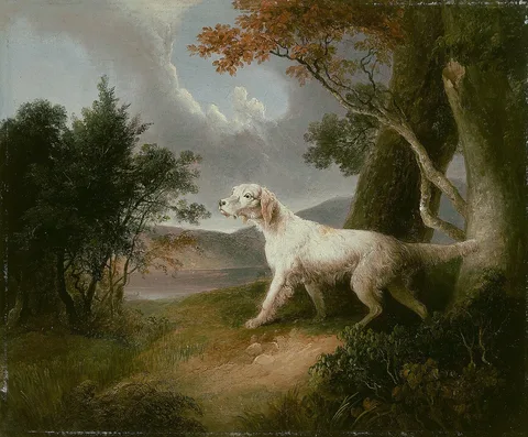 Thomas Doughty, Landscape with Dog
