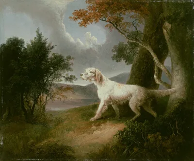 Thomas Doughty, Landscape with Dog