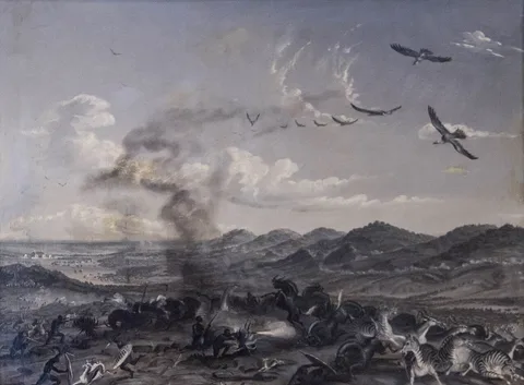 Thomas Baines, The greatest hunt in history near Bloemfontein 1860