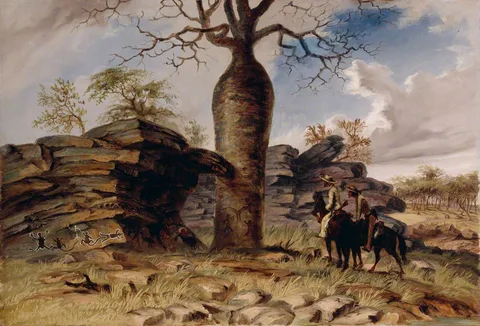 Thomas Baines, Figures Painted on Rocks and Carved on a Gouty Stem Tree