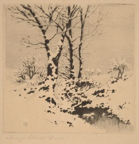George Elbert Burr, Snow