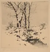 George Elbert Burr, Snow