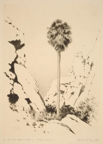George Elbert Burr, Palm Canyon (no.1)