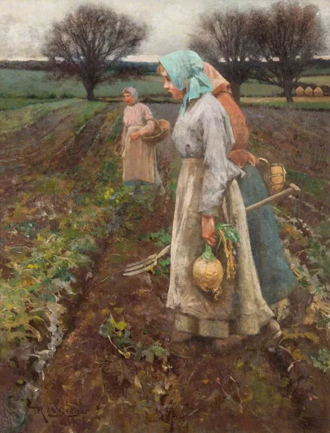 Robert McGregor, The Turnip Field