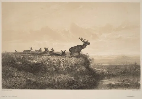 Karl Bodmer, Le Matin
